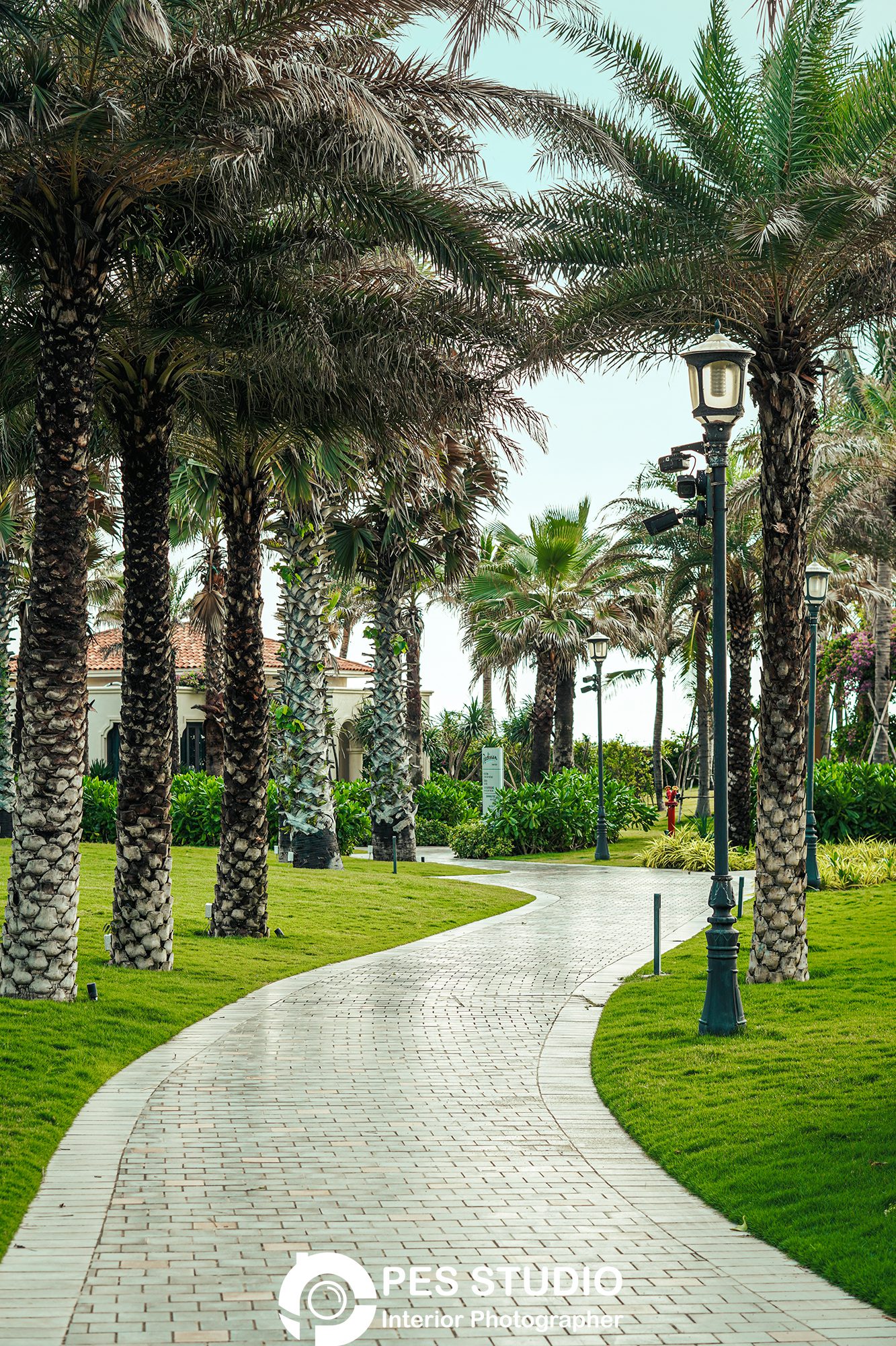 Lối đi bộ chạy giữa hai hàng dừa trong khuôn viên resort