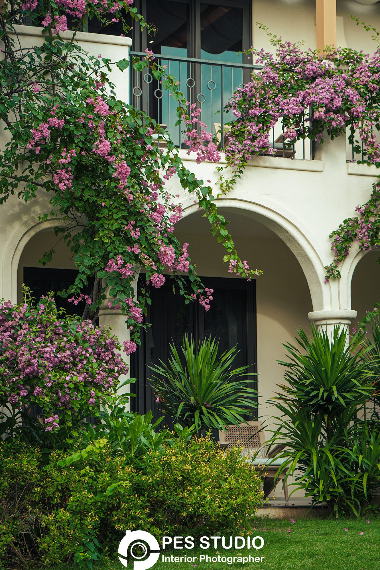 Lối vào bungalow resort với giàn hoa giấy tím
