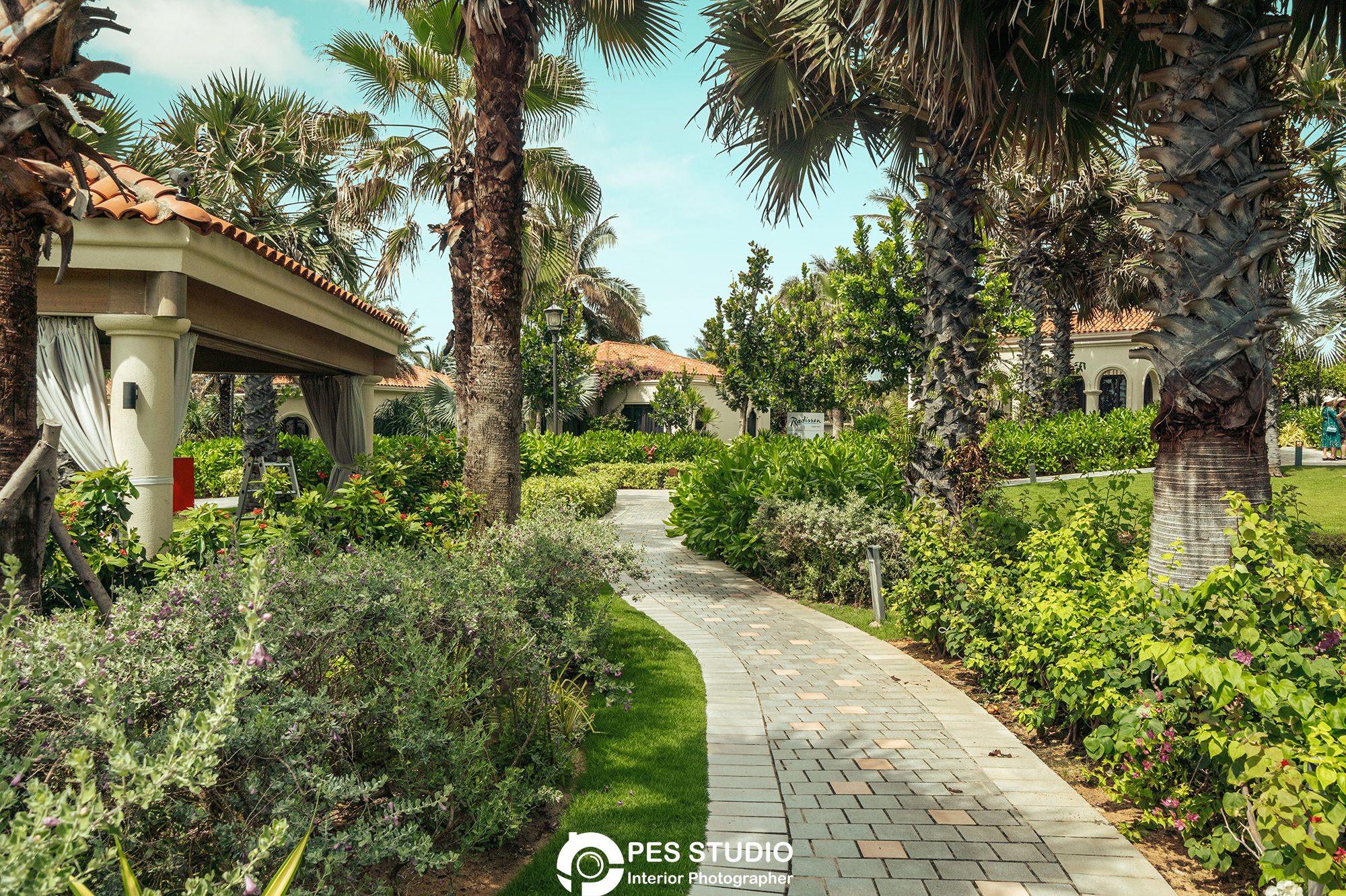 Lối đi lát đá chạy trong vườn dừa resort